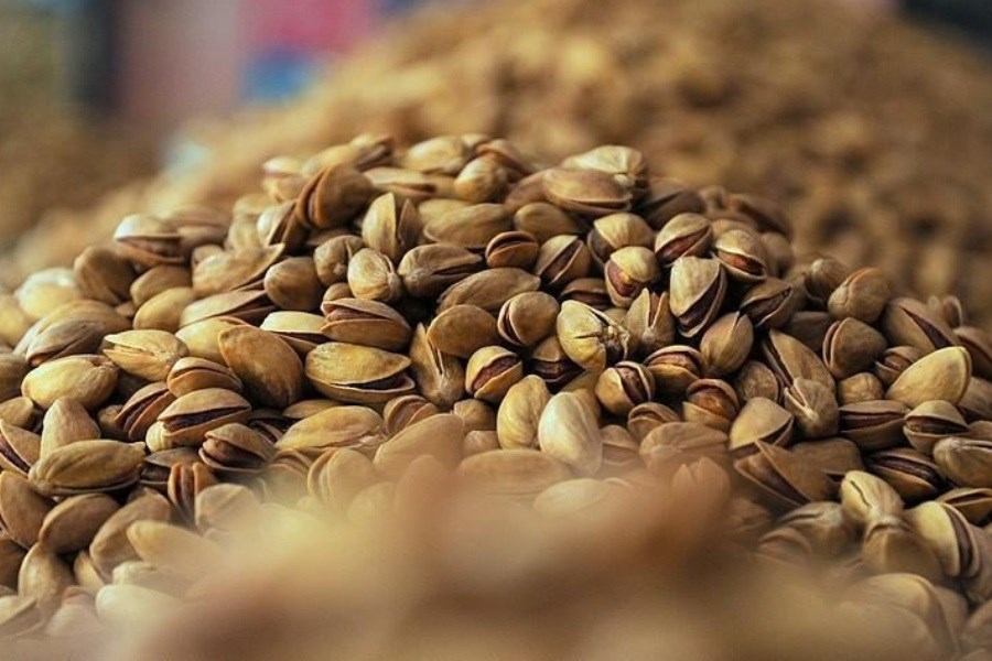 بررسی کاهش ۵۰ درصدی صادرات پسته