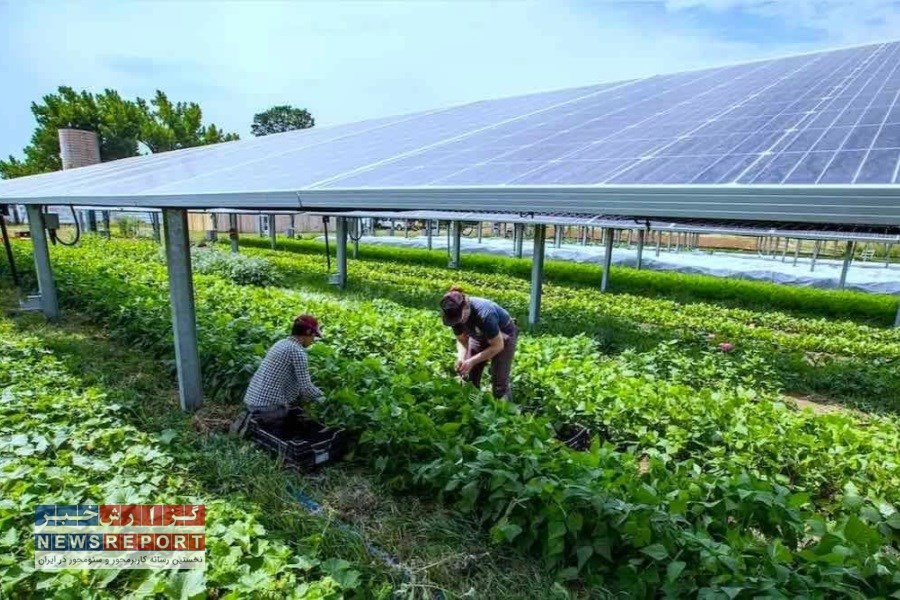 راهکارهای نوین برای حل مشکلات برق‌رسانی به چاه‌های کشاورزی بافق